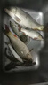 岡原精工（OKABARA SEIKO）日本進(jìn)口碳素超輕硬釣竿手竿魚(yú)竿競(jìng)技野釣十大輕量綜合桿品牌新款 8.1m +原裝竿稍+竿包+禮包 曬單實(shí)拍圖