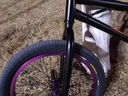 20寸BMX小輪車(chē)表演車(chē)極限單車(chē)特技動(dòng)作自行車(chē)超響120響花鼓18寸童 紫 啞黑配紫（可備注顏色）方向轉 曬單實(shí)拍圖