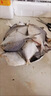 魏記碼頭銀鯧魚野生海捕鯧魚平魚新鮮冷凍海鮮水產(chǎn)平魚鳊魚 1斤大號(hào)銀鯧魚 銀鯧魚【5-6條/斤】?jī)糁責(zé)o冰衣 曬單實(shí)拍圖