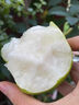 栩季（XUJI）正宗安徽翠冠青梨碭山酥脆青皮梨當(dāng)季新鮮采摘翠玉梨子 3斤【精選好果】 曬單實(shí)拍圖