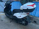 新大洲本田NS125D踏板燃油摩托車上班省油【門店提車】 特黑【含尾箱護杠】 曬單實拍圖