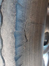 固特異（Goodyear）汽車輪胎255/40R20 101Y EAG F1 ASY3 鷹馳F1 3代奧迪A6L/Model Y 曬單實拍圖
