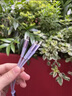 JCZS德國品牌三合一數(shù)據(jù)線66W快充一拖三充電線器安卓typec伸縮三頭多頭三線車載充電寶適用蘋果oppo華 夢幻鹿雙面微雕藝術(shù)品同時快充蘋果+安卓+type- 1.3m 曬單實拍圖