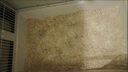 許翠花 豆腐混合貓砂2.5kg*4木薯植物不易粘底強吸水除臭 曬單實拍圖