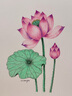 PRISMACOLOR霹靂馬彩色鉛筆 彩鉛筆 72色油性大師級畫筆套裝繪畫藝術(shù)寫生手繪美國三福霹靂馬美術(shù)寫生 曬單實拍圖