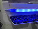 燈下科技粘捕式滅蠅燈商用滅蚊燈滅蚊器餐廳飯店滅蚊神器誘捕器蒼蠅神器 D16S【LED節(jié)能防爆雙管】約60㎡ 曬單實(shí)拍圖