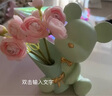 赟婭奶油風(fēng)暴力熊捧花花瓶擺件客廳插花輕奢高級(jí)感餐桌臥室玄關(guān)裝飾品 大號(hào)捧花熊+粉露蓮【香草綠】 曬單實(shí)拍圖