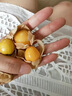 【順豐】東北姑娘果特產(chǎn)燈籠果5斤黃菇?jīng)鲂〗鸲贡∑す螟B整箱現(xiàn)摘3 【精選裝】2斤 曬單實(shí)拍圖