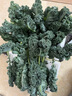 羽衣甘藍新鮮生鮮蔬菜嫩葉甘蘭芥藍西餐沙拉榨汁減肥減脂 羽衣甘藍分享4斤裝 曬單實拍圖
