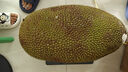 京鮮生海南老樹菠蘿蜜 20-25斤裝 凈重20斤+  生鮮水果 源頭直發(fā) 曬單實拍圖