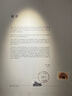 NASA GISS官方潮牌冰絲休閑褲男夏季薄款美式高街百搭復(fù)古工裝褲男 杏色 XL 曬單實拍圖