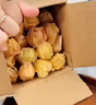 京覓 東北姑娘果2斤裝凈重 燈籠果黃菇娘洋姑娘果 新鮮水果 源頭直發(fā) 曬單實拍圖