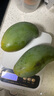 【新鮮上市】正宗攀枝花凱特芒果新鮮水果 帶箱2斤200g+ 曬單實拍圖