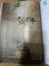 綠植之美：80種文藝感觀(guān)葉植物挑選 裝飾 養護 曬單實(shí)拍圖