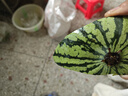 京鮮生 無籽麒麟瓜西瓜 1粒裝 單果5-6斤 水果 源頭直發(fā) 曬單實(shí)拍圖