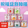 【春季】植物創(chuàng  )意小盆栽栽培桌面迷你綠植草莓向日葵種植種子盲盒 植物盲盒（隨機20罐）種植小盆栽 曬單實(shí)拍圖