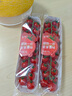 知翠櫻桃小番茄精品單粒西紅柿生吃脆甜新鮮水果自然熟非圣女果小柿子 紅櫻桃小番茄（粒裝） 400g *4盒 曬單實拍圖