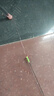 漢鼎魚(yú)線(xiàn)線(xiàn)組魚(yú)鉤浮漂魚(yú)漂子線(xiàn)雙鉤主線(xiàn)子線(xiàn)線(xiàn)鉤漂新手套裝 6.3米 曬單實(shí)拍圖