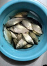 海竿路亞竿超輕套裝超硬遠(yuǎn)投磯竿裝備組合釣魚(yú)海桿拋竿魚(yú)竿海釣竿 3.6m 黑色 10軸5000型漁輪套裝 曬單實(shí)拍圖