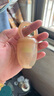 世喜咬咬樂(lè)嬰兒吃水果6個(gè)月以上食品級(jí)果蔬牙膠咬袋推進(jìn)式輔食器 8月+ 曬單實(shí)拍圖