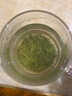 樂品樂茶特級毛尖綠茶2025新茶明前特級春茶嫩芽冷泡茶葉解暑250g送禮品袋 曬單實(shí)拍圖