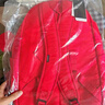 匡威（Converse）CONVERSE匡威官方 Straight Edge男女簡(jiǎn)約電腦雙肩包書(shū)包10021138 10021138-A19 OSFA 曬單實(shí)拍圖
