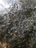 【當季新菜】霞浦壇紫菜干貨紫菜蛋花蝦皮湯開(kāi)水沖泡頭營(yíng)養嫩苗水 【嘗鮮】精品無(wú)沙紫菜8g*10包 曬單實(shí)拍圖