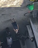 巴拉巴拉女童內(nèi)褲棉a類兒童四角短褲小童不夾PP平角褲四條裝209925170012 曬單實(shí)拍圖