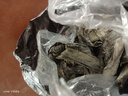 海帶干貨霞浦特厚海帶烘干批發(fā)干貨特產(chǎn)涼拌批發(fā)商泡煲湯免洗久誠 【虧本降價(jià)】高泡發(fā)優(yōu)質(zhì)海帶500g 曬單實(shí)拍圖