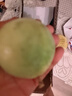京鮮生欽蜜9號黃金百香果 2斤單果60g+/14-18個  生鮮水果 源頭直發(fā) 曬單實拍圖