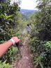 煦凜日本基孔肯雅熱驅(qū)蚊液避蚊胺母嬰可用戶外驅(qū)蚊噴霧10%避蚊胺神器 1瓶 【全網(wǎng)熱銷 新升級9%避蚊胺】體驗(yàn)裝 防基孔肯雅熱丨日本品牌 曬單實(shí)拍圖