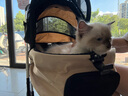 DO DO PET寵物推車貓咪狗狗出行手推車分離式中小型犬貓包便攜折疊寵物車 卡其色-升級(jí)卡扣款-搖籃可分離 建議狗狗25斤內(nèi)，貓咪1-2只 曬單實(shí)拍圖
