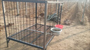HKML狗籠子大型犬專(zhuān)用實(shí)心鋼筋狗籠加粗加固猛犬巨型犬防跳焊接大狗籠 長(cháng)130*寬120*高140【平頂款】 無(wú)漆 曬單實(shí)拍圖