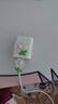 藍色花花小清新公主風蘋果16充電保護套20w葵涌iphone15數(shù)據(jù)線防折斷 藍色小花四件套*保護頭+保護繩+2咬線器 曬單實拍圖