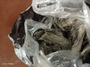 海帶干貨霞浦特厚海帶烘干批發(fā)干貨特產(chǎn)涼拌批發(fā)商泡煲湯免洗久誠 【虧本降價(jià)】高泡發(fā)優(yōu)質(zhì)海帶500g 曬單實(shí)拍圖