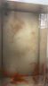 寵小俠小型熱帶魚斑馬魚燈科魚魚苗活體觀賞魚淡水好養(yǎng)耐活寶蓮燈孔雀魚 七彩斑馬10條（至少5色） 曬單實(shí)拍圖