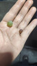 夢茜兒順豐 東北茉莉香葡萄 無籽5斤新鮮水果郁金香提子現(xiàn)摘 3斤 精選 順豐快遞（3-6串） 曬單實(shí)拍圖