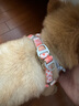 TOUCHDOG它它狗狗牽引繩胸背帶可調(diào)節(jié)狗繩狗鏈中小型犬泰迪防爆沖 蜜桃粉 S碼（適合5-16斤） 曬單實(shí)拍圖