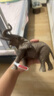 思樂（Schleich S）仿真草原動物模型非洲象亞洲象小象斑馬兒童玩具擺件啟蒙認(rèn)知3+ 非洲公象14762 曬單實拍圖