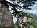 迪卡儂登山包戶外雙肩背包徒步包輕量化旅行運(yùn)動MH100米白色20L 4335958 曬單實(shí)拍圖
