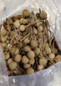 京鮮生 廣東龍眼5斤裝 單果8g+ 帶枝發(fā)貨 新鮮應(yīng)季水果 源頭直發(fā)包郵 曬單實(shí)拍圖