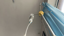 格力（GREE）電風扇家用空氣循環(huán)扇客廳臥室辦公宿舍落地扇渦輪對流換氣扇臺式桌面小風扇廣角搖頭臺地兩用電扇 【熱銷爆款】循環(huán)香薰風 旋鈕控制 1903g3 曬單實拍圖