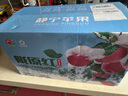 隴原紅【順豐到家】靜寧蘋果甘肅紅富士蘋果新鮮孕婦水果源頭直發(fā)包郵 凈重8.5斤85-90mm特大果15-16枚 曬單實(shí)拍圖