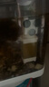 松寶（sobo）魚缸過濾器三合一循環(huán)過濾器增氧泵水泵抽水吸便凈水AQ-6000F款4W 曬單實拍圖