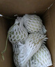 鮮享歡 山東冰淇淋玉菇甜瓜新鮮水果當(dāng)季香瓜冰淇淋脆甜哈密香瓜孕婦 精選果6枚普通裝（單果3斤左右） 曬單實(shí)拍圖