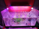魚缸燈架水草燈架LED草缸燈水族箱魚缸照明燈架LED水草燈 四排三檔變色燈架 L-300（適合30-40cm魚缸 曬單實拍圖