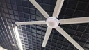 奧克斯AUX大吊扇80寸100寸120寸超大型工業(yè)吊扇遙控工廠車間2米大功率電風扇家用商用純銅電機大風力電扇 80寸壁控款/六葉2米白色/165W/純銅電機 曬單實拍圖