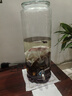 不老潭糧食酒 瀘州糯紅高粱桶裝高度濃香型散裝白酒純糧壹號 52度 2.5L 曬單實(shí)拍圖