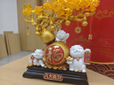 慧選禮（HUI XUAN LI）招財貓發(fā)財樹擺件辦公室客廳前臺裝飾送朋友店鋪公司喬遷開業(yè)禮物 曬單實拍圖