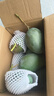 京地達(dá)攀枝花凱特芒果 9斤巨無霸單果600g+肉厚無絲新鮮水果源頭直發(fā) 曬單實(shí)拍圖